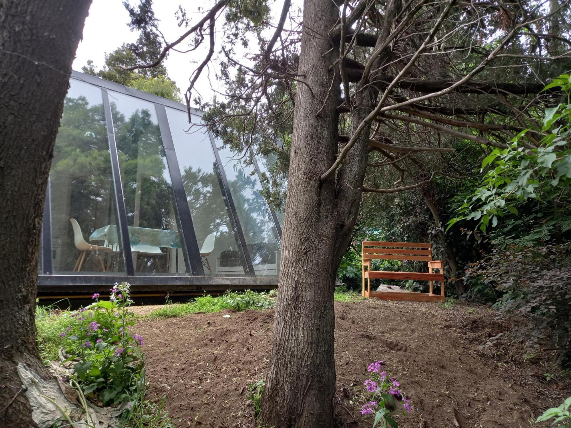 Casa Inmersa En El Bosque Chalé