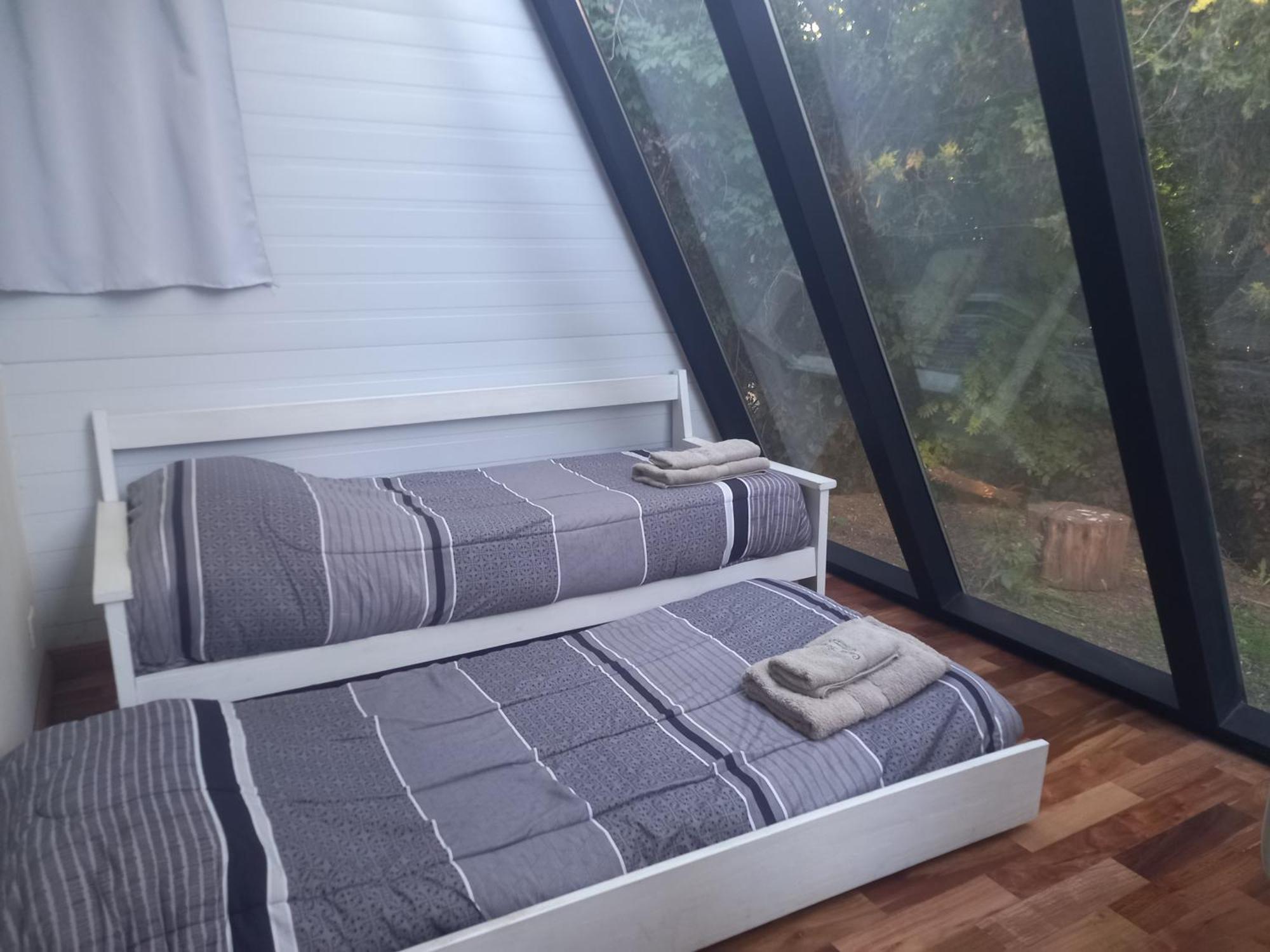 Casa Inmersa En El Bosque Chalé *