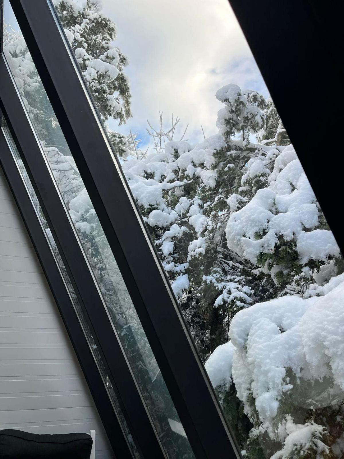 Casa Inmersa En El Bosque Chalé San Carlos de Bariloche